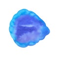 Shell form drawn with watercolor,handmade on white background Royalty Free Stock Photo