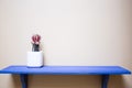 Blue shelve with cactus on the wall modern design