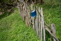 Sherpa on the fence