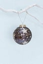 Blue shiny Christmas ball hanging from a wooden branch on a light blue background. Merry christmas greeting card. Winter holiday Royalty Free Stock Photo