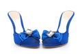 Blue shoes Royalty Free Stock Photo