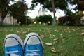 Shoes in the grass