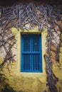 Blue shutter window in yellow building with creeping vines Royalty Free Stock Photo