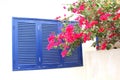 Blue shutters white wall Bougainvillea flowers