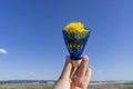 Blue shuttlecock from badminton with yellow dandelions inside in a female hand against blue sky