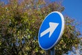 Blue sign with an arrow pointing to the left, obligatory direction. Traffic Signals Royalty Free Stock Photo