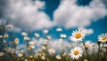 Blue Skies and Daisy Dreams A Countryside Adventure Royalty Free Stock Photo