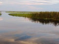 Blue Skies and wetland grass reflecting on lake.