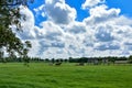 Blue skies and white clouds over a horse farm in the countryside of the Netherlands Royalty Free Stock Photo