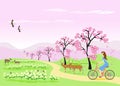 A blue skirt woman is riding a bicycle along the way. In the garden with flowers ,Sakura and deer Royalty Free Stock Photo
