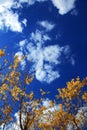 Blue sky Royalty Free Stock Photo