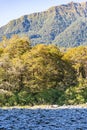 Blue sky above green mountains and golden leaves of beech trees beside dry stony river bed