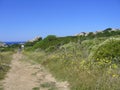 Blue sky and amazing sea, granite rocks with mediterranean vegetation, moon Valley, Valle della Luna, Capo Testa, Santa Teresa Gal