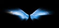 Blue sky in angel wings isolated on black background Royalty Free Stock Photo