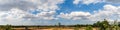 Blue sky background or Beautiful blue sky The white clouds cover the full sky