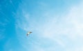 Blue sky background with bright flying kite