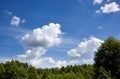Blue sky background with cumulus clouds against the green trees Royalty Free Stock Photo