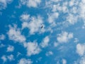 Blue sky background with cumulus white clouds, nature photography, sun rays, natural background, bird flying high in sky wallpaper Royalty Free Stock Photo