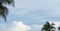 Blue Sky Background,Horizon Spring Morning Sky Scape by the Sea with coconut palm leaves tree,Beautiful Nature fluffy cloud in Royalty Free Stock Photo