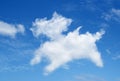 The blue sky background with white Cloud look like a annimal Royalty Free Stock Photo
