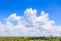 Blue sky background and white clouds over the green forest