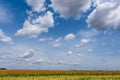 blue sky background with white striped clouds in heaven and infinity may use for sky replacement Royalty Free Stock Photo