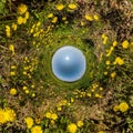Blue sky ball in middle of swirling dandelion field. Inversion of tiny planet transformation of spherical panorama 360 degrees.
