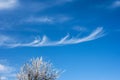 Blue sky with beautiful cirrus clouds Royalty Free Stock Photo