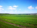 Blue Sky, Beautiful Cloud and Grass Field, Spring Time Royalty Free Stock Photo