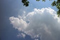 Blue sky and cloud with meadow trees. Plain landscape background for summer poster. Royalty Free Stock Photo