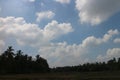 Blue sky and cloud with meadow trees. Plain landscape background for summer poster. Royalty Free Stock Photo