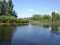 Blue sky, blue water, green reeds Royalty Free Stock Photo