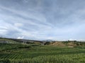 Blue sky, bridge and Corn fields