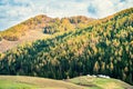 Autumn grassland in Xinjiang Royalty Free Stock Photo