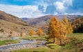 Autumn grassland in Xinjiang Royalty Free Stock Photo