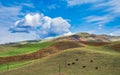 Autumn grassland in Xinjiang Royalty Free Stock Photo