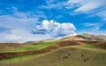 Autumn grassland in Xinjiang Royalty Free Stock Photo