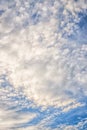 Blue sky with cirro cumulus white clouds. Sky background