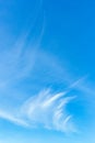 Blue sky with cirrus clouds. Thin, wispy strands of atmospheric clouds. Gentle sky background. Vertical photo