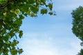 Blue sky with cloud closeup Royalty Free Stock Photo