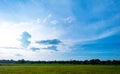 blue sky and cloud with meadow tree and green fields Royalty Free Stock Photo