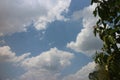 Blue sky and cloud with meadow trees. Plain landscape background for summer poster. Royalty Free Stock Photo