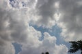 Blue sky and cloud with meadow trees. Plain landscape background for summer poster. Royalty Free Stock Photo