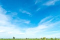 Blue sky and cloud with tree. Royalty Free Stock Photo