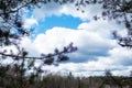 Blue sky with clouds, cloudy spring day, forest and field