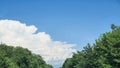 Blue sky with clouds, flying birds and green branches. Summer nature. Road. Royalty Free Stock Photo