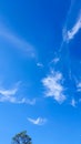 Blue sky with clouds, flying birds and green branches. Summer nature. Road Royalty Free Stock Photo