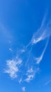 Blue sky with clouds, flying birds and green branches. Summer nature. Road Royalty Free Stock Photo