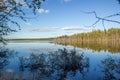 Blue Sky with Clouds and Green Trees Water Reflection Branch Frame Royalty Free Stock Photo