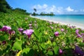 Blue sky and clouds in Havelock island. Andaman islands, India